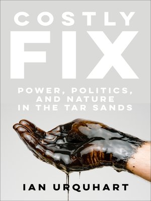 cover image of Costly Fix
